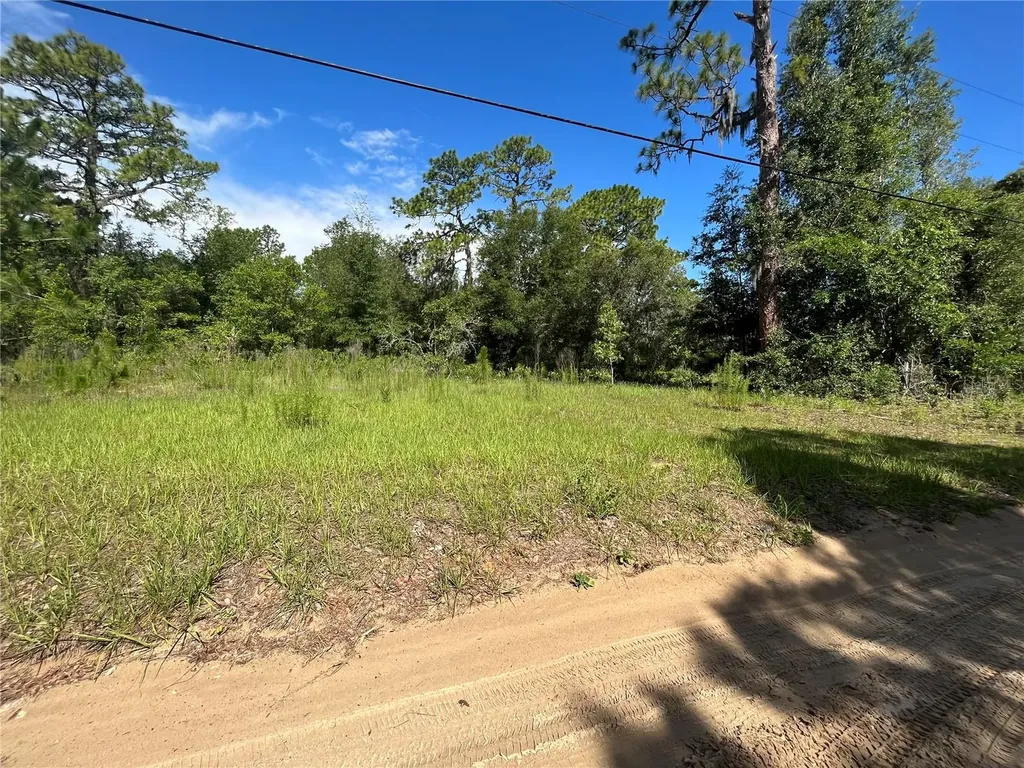 620 S Fairlane Terrace Lecanto FL 34461