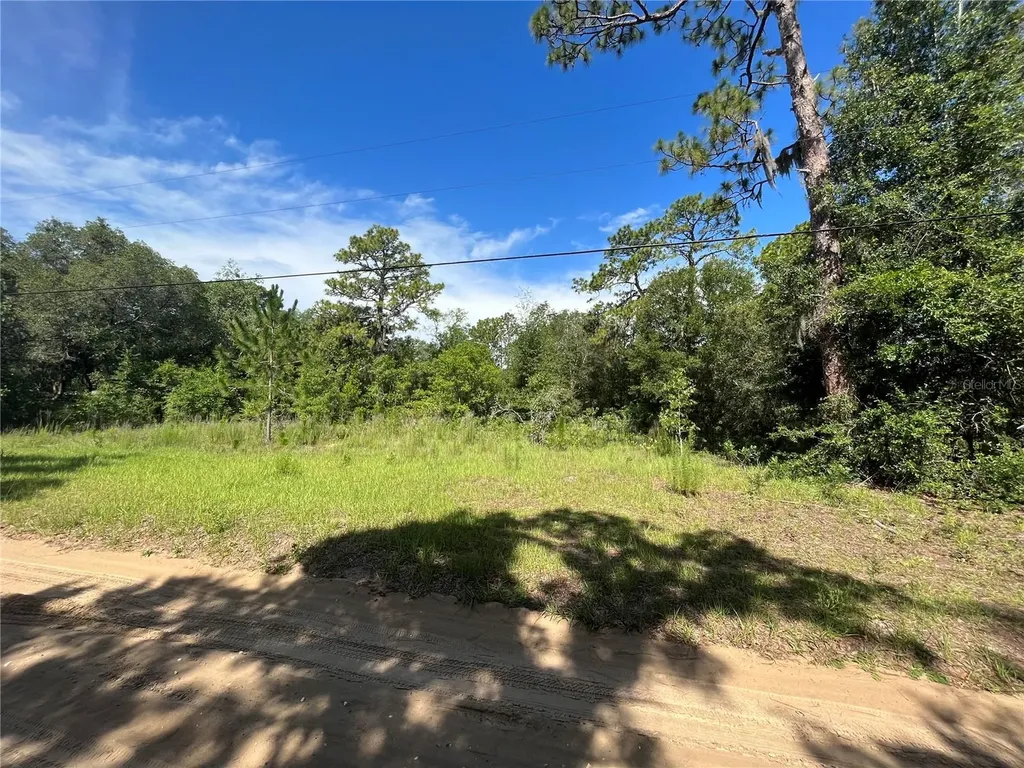 620 S Fairlane Terrace Lecanto FL 34461