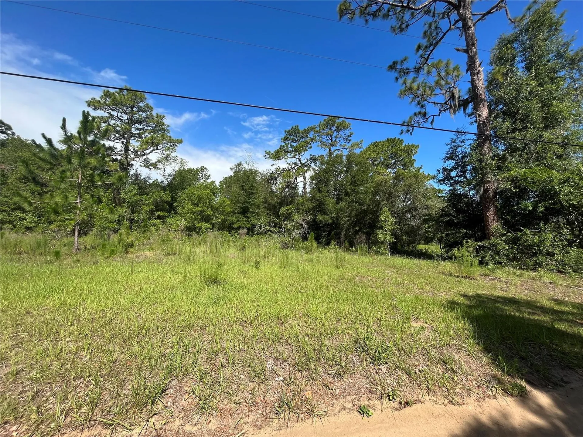 620 S Fairlane Terrace Lecanto FL 34461