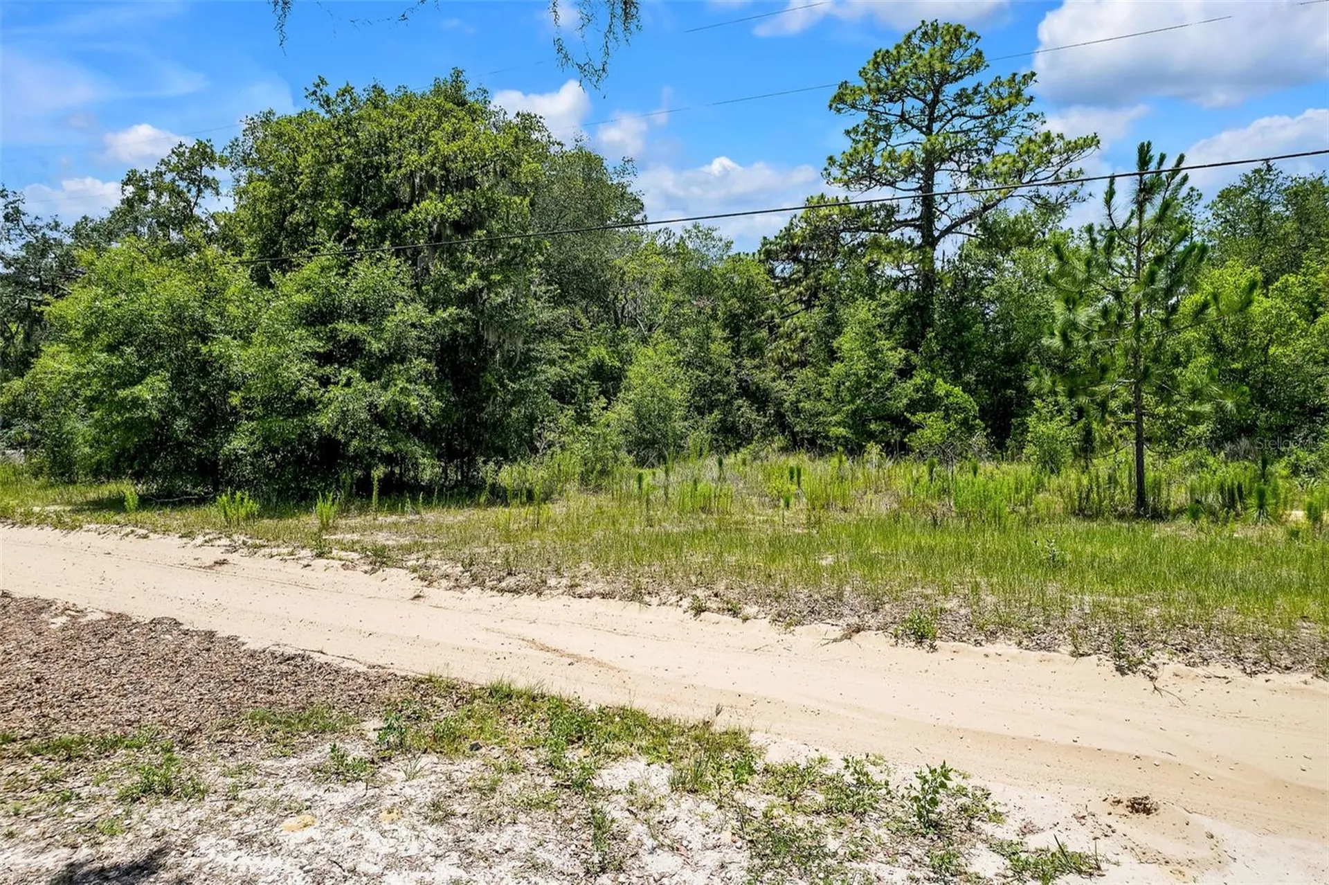 620 S Fairlane Terrace Lecanto FL 34461