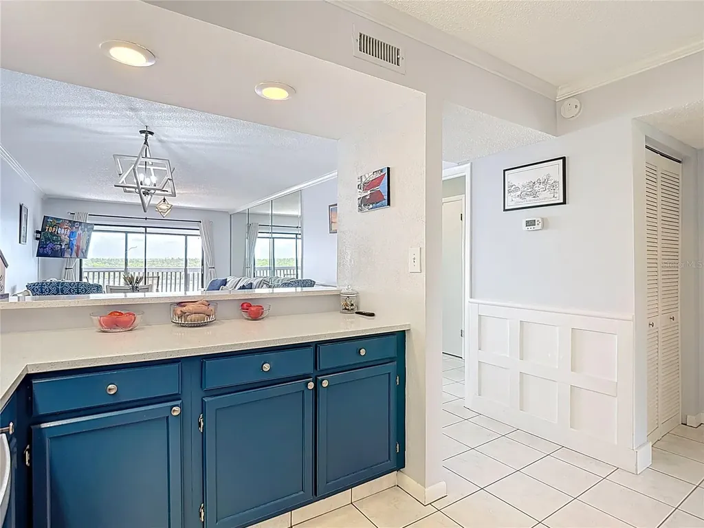 809 Bahia Del Sol Drive Ruskin FL 33570