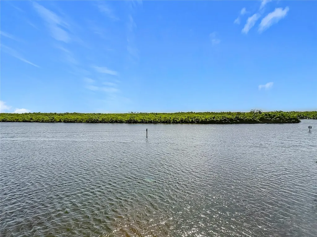 809 Bahia Del Sol Drive Ruskin FL 33570