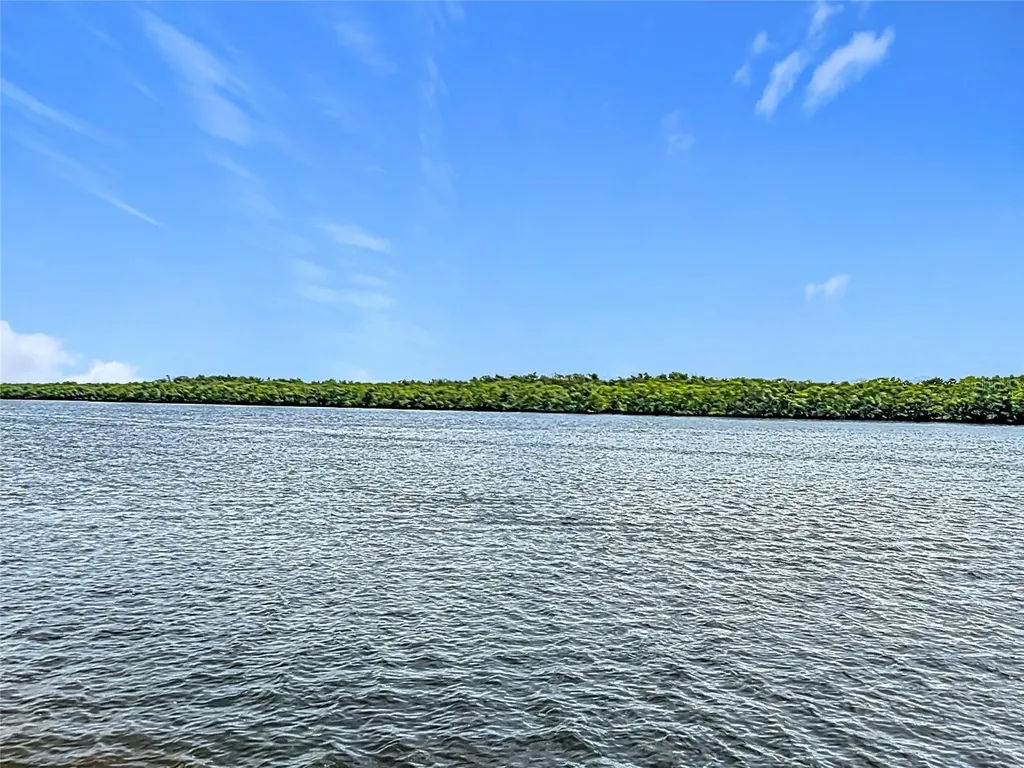 809 Bahia Del Sol Drive Ruskin FL 33570