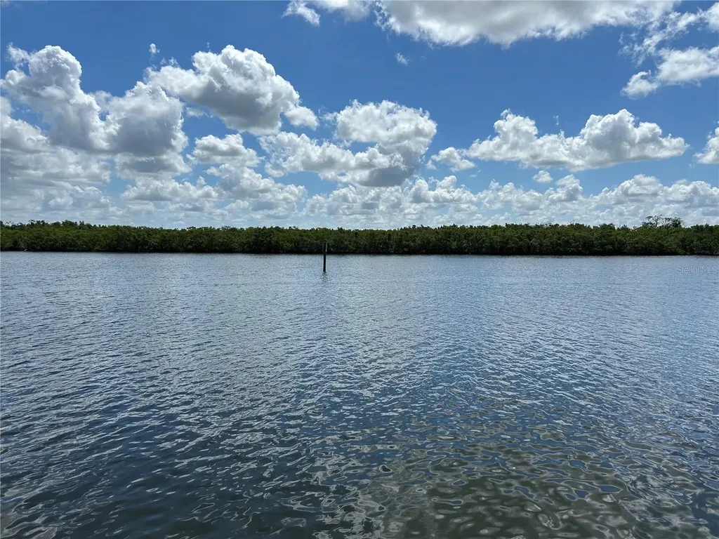 809 Bahia Del Sol Drive Ruskin FL 33570