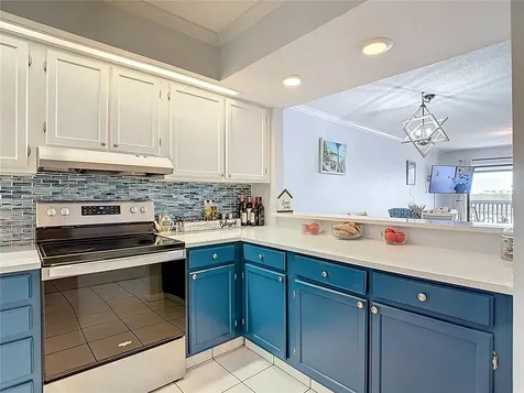 809 Bahia Del Sol Drive Ruskin FL 33570