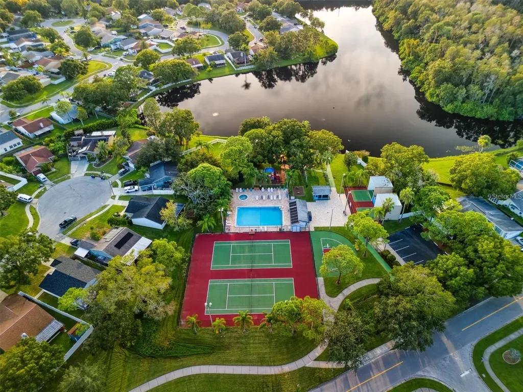 209 Corkwood Lane Oldsmar FL 34677