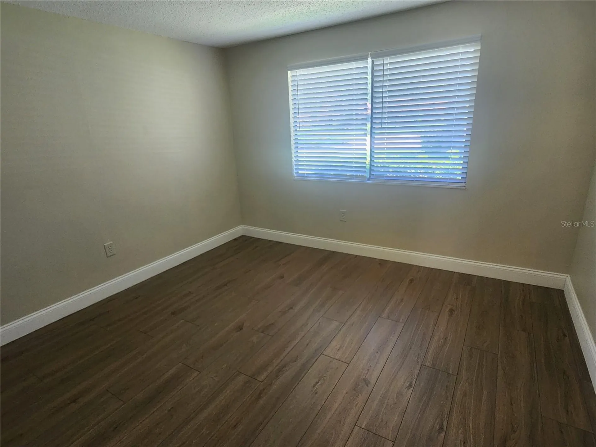 209 Corkwood Lane Oldsmar FL 34677