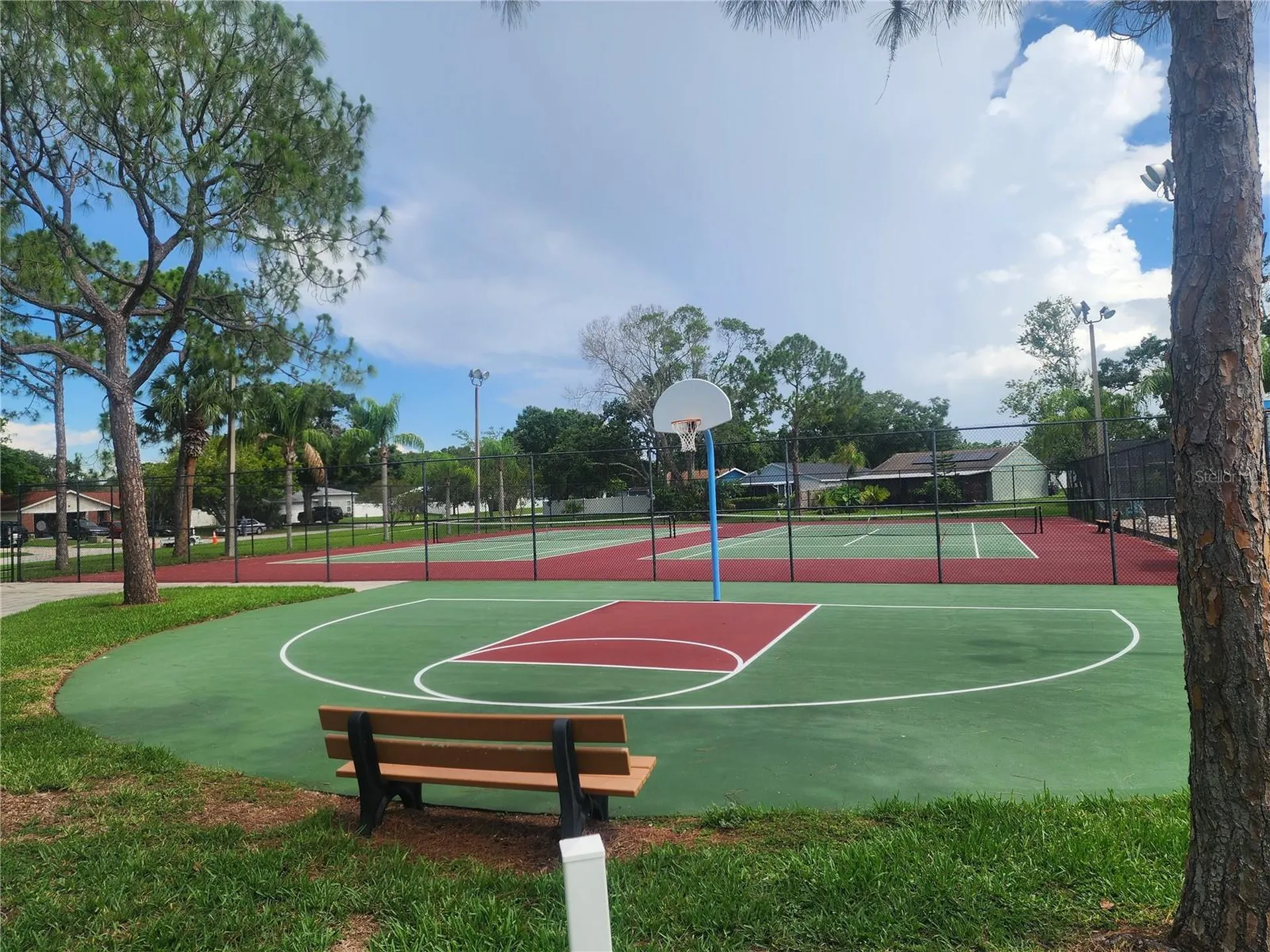 209 Corkwood Lane Oldsmar FL 34677