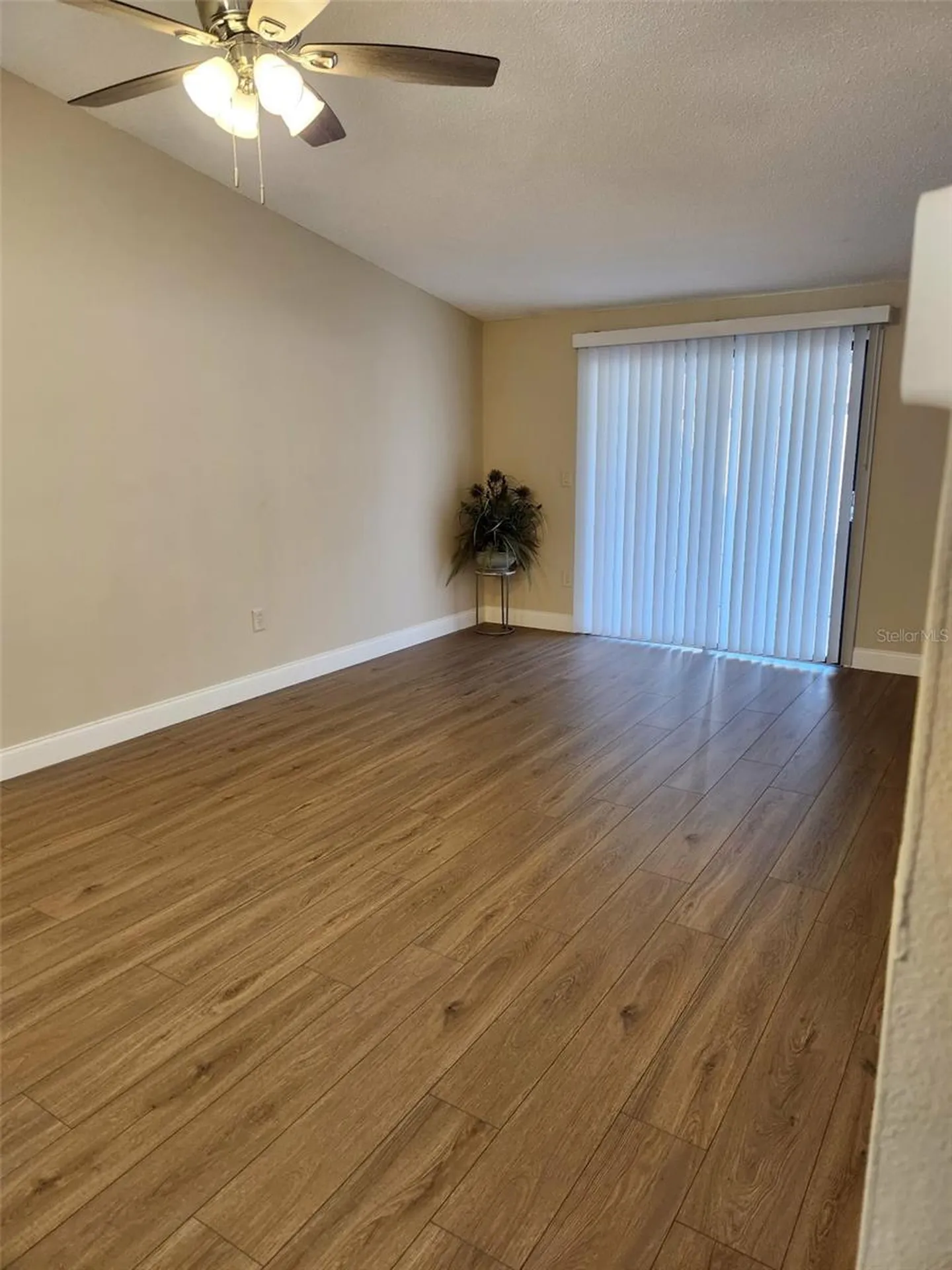209 Corkwood Lane Oldsmar FL 34677