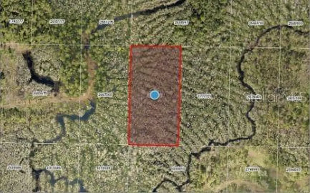 Calvin Lee Road Groveland FL 34736