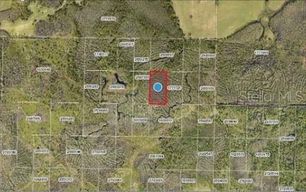 Calvin Lee Road Groveland FL 34736