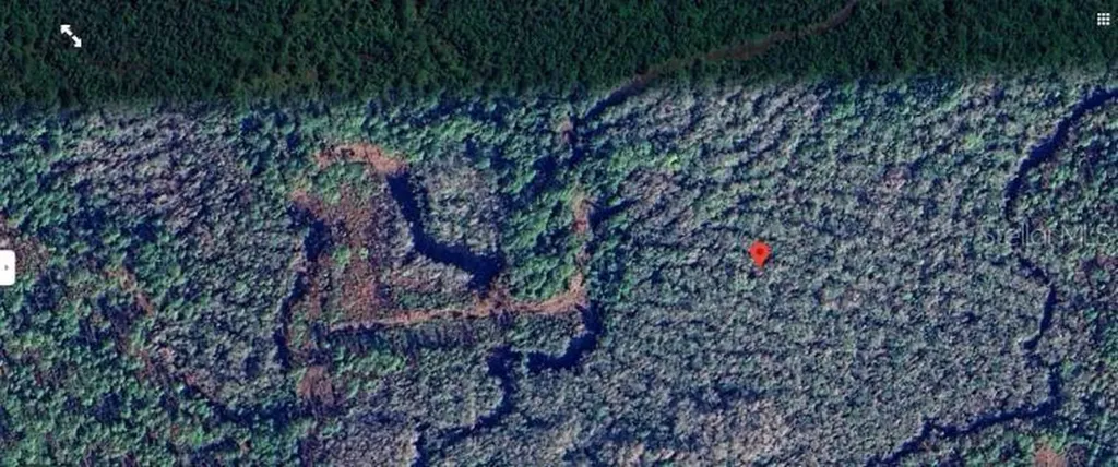 Calvin Lee Road Groveland FL 34736