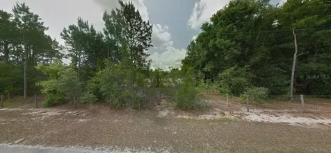 Calvin Lee Road Groveland FL 34736