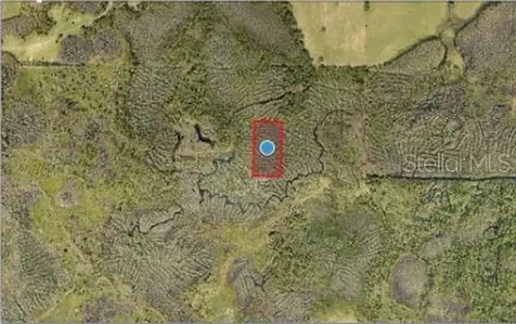 Calvin Lee Road Groveland FL 34736