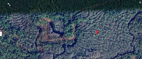 Calvin Lee Road Groveland FL 34736