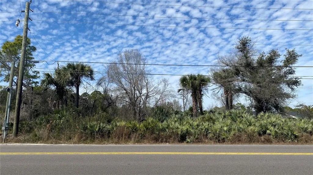 SR-415 New Smyrna Beach FL 32168