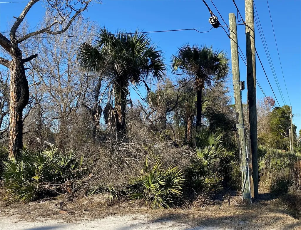 SR-415 New Smyrna Beach FL 32168