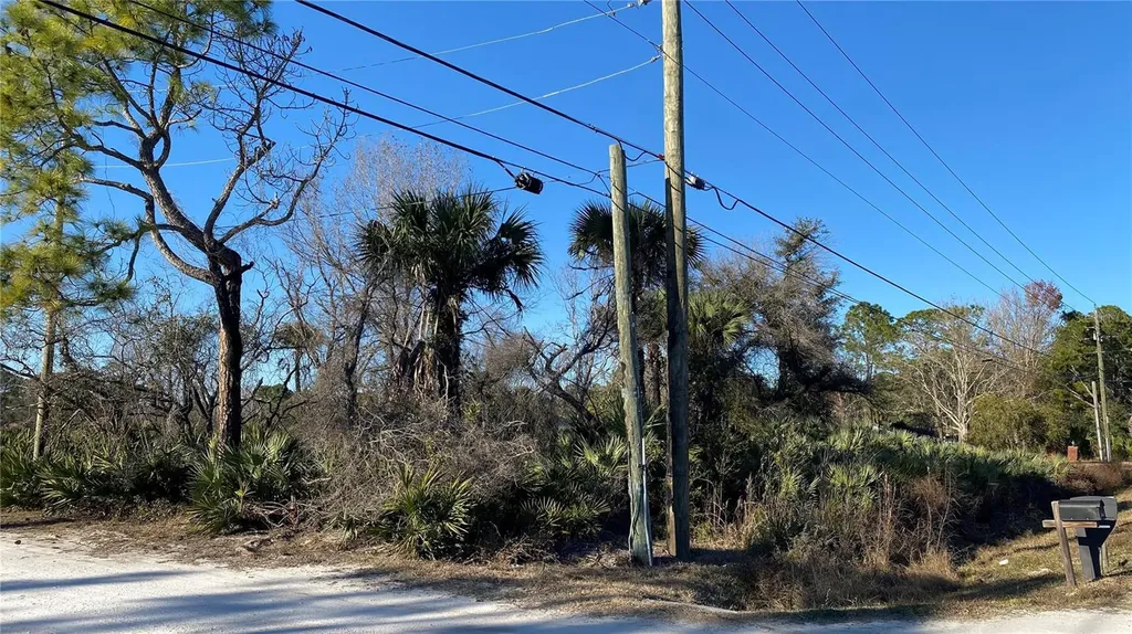 SR-415 New Smyrna Beach FL 32168