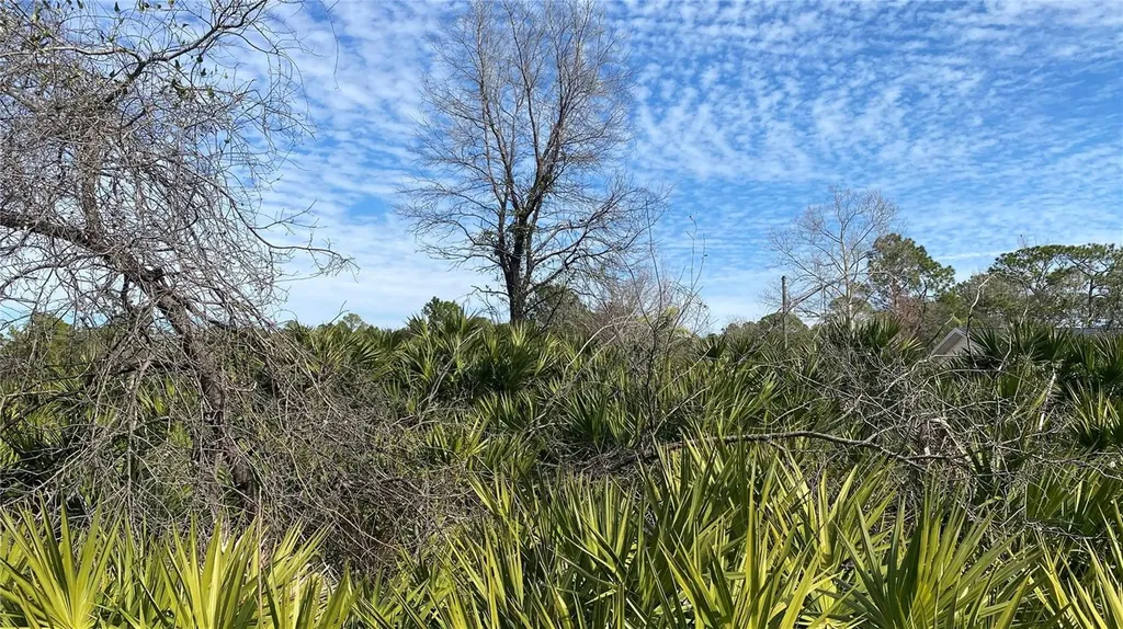 SR-415 New Smyrna Beach FL 32168