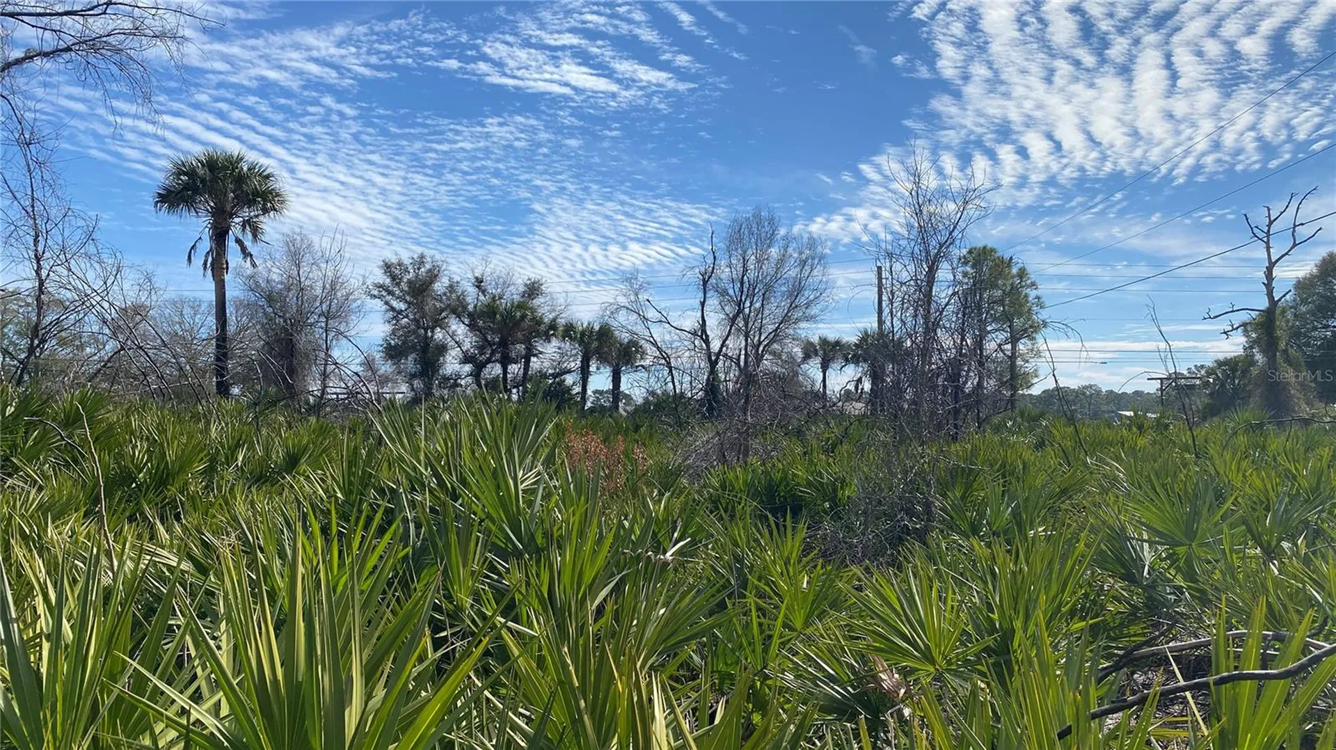 SR-415 New Smyrna Beach FL 32168