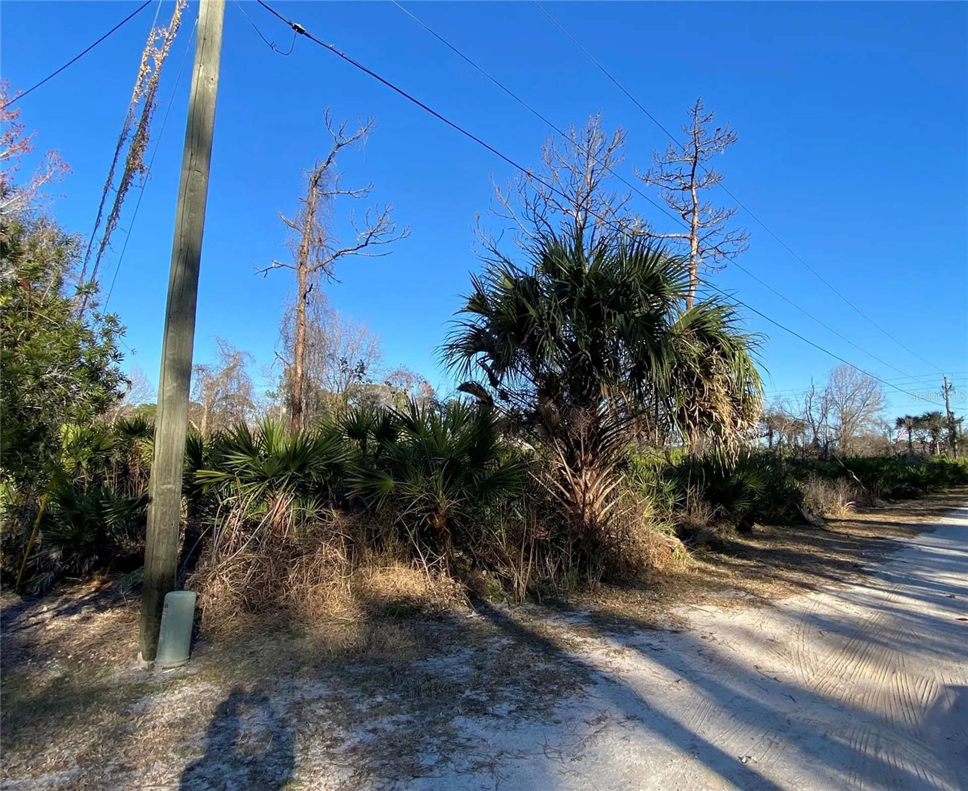 SR-415 New Smyrna Beach FL 32168