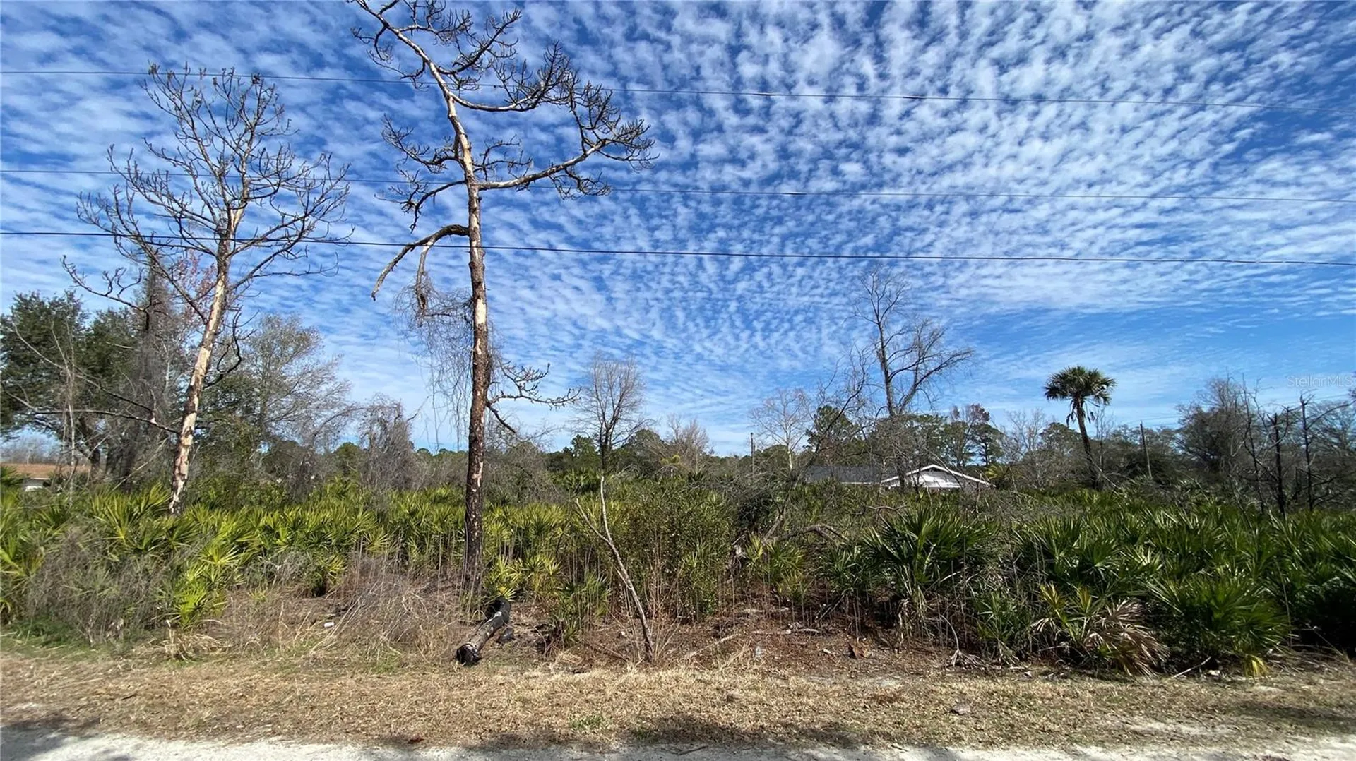 SR-415 New Smyrna Beach FL 32168