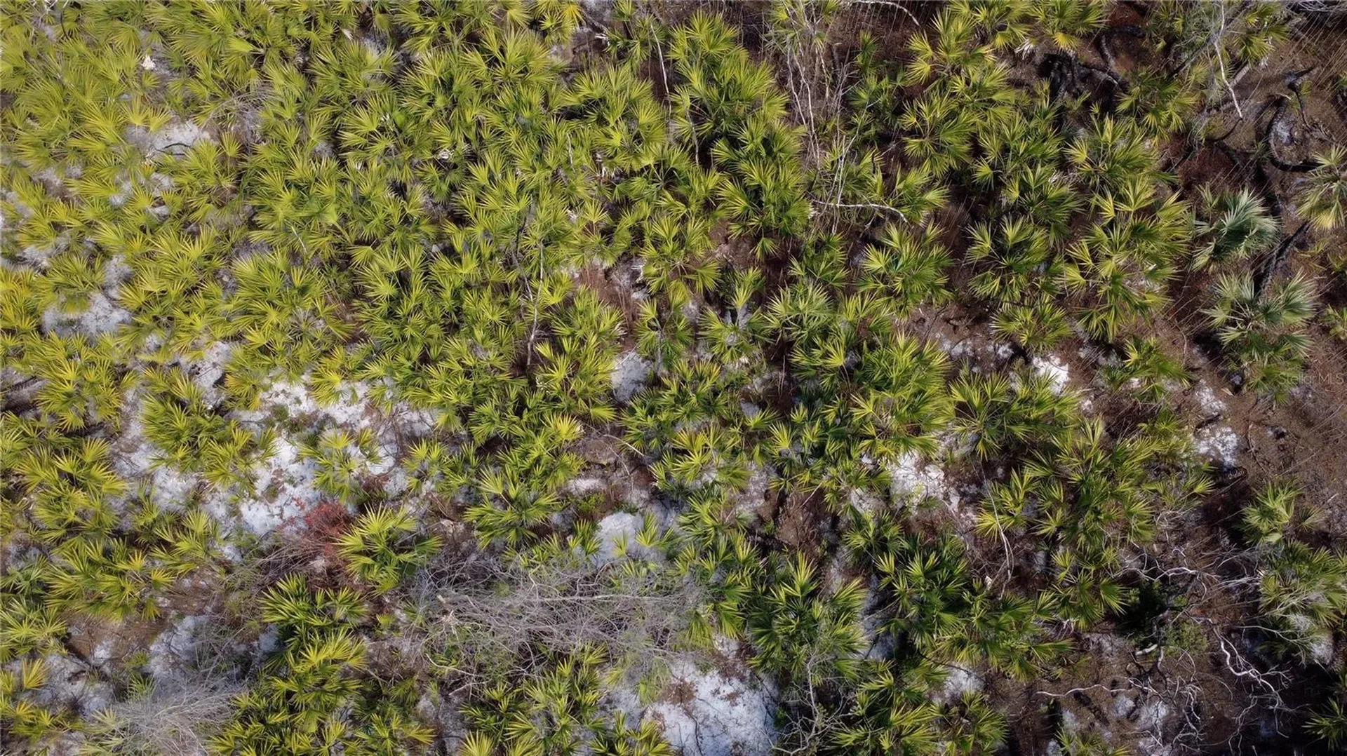 SR-415 New Smyrna Beach FL 32168