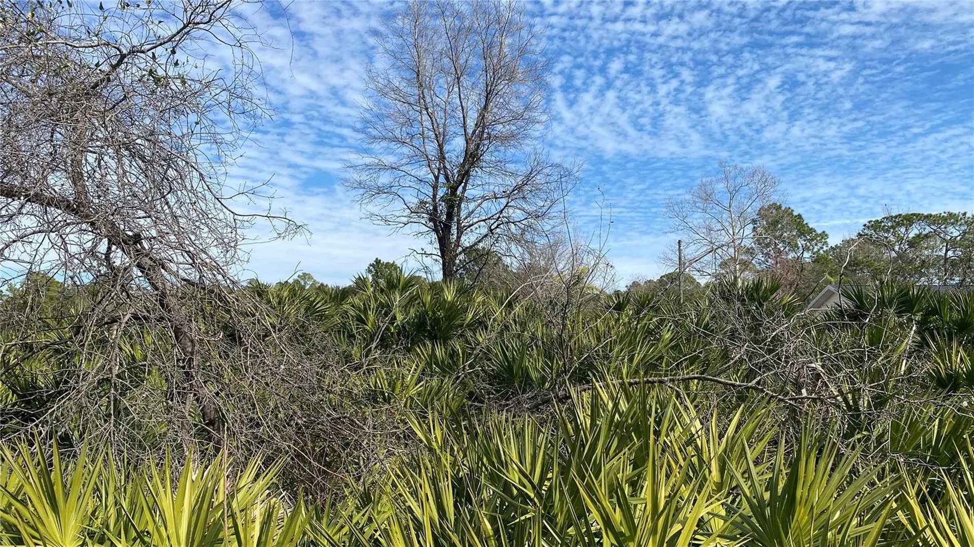 SR-415 New Smyrna Beach FL 32168