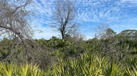 SR-415 New Smyrna Beach FL 32168