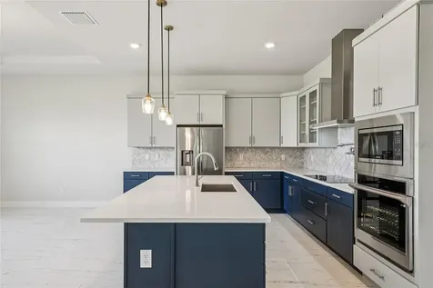 9201 Sanders Tree Loop Wesley Chapel FL 33545