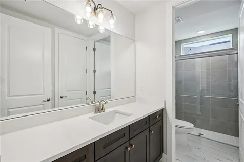 9201 Sanders Tree Loop Wesley Chapel FL 33545