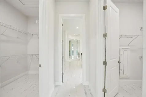 9201 Sanders Tree Loop Wesley Chapel FL 33545