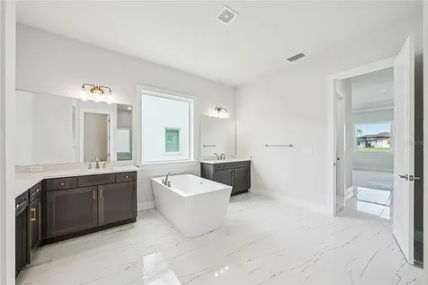 9201 Sanders Tree Loop Wesley Chapel FL 33545
