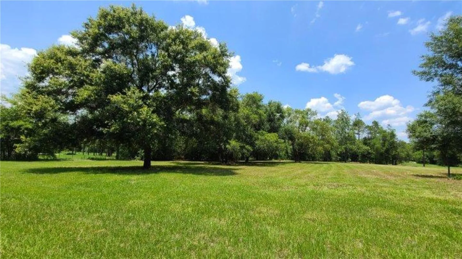9630 Nelson Road Dade City FL 33525