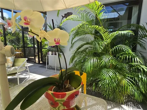 4425 Lords Drive Sarasota FL 34231
