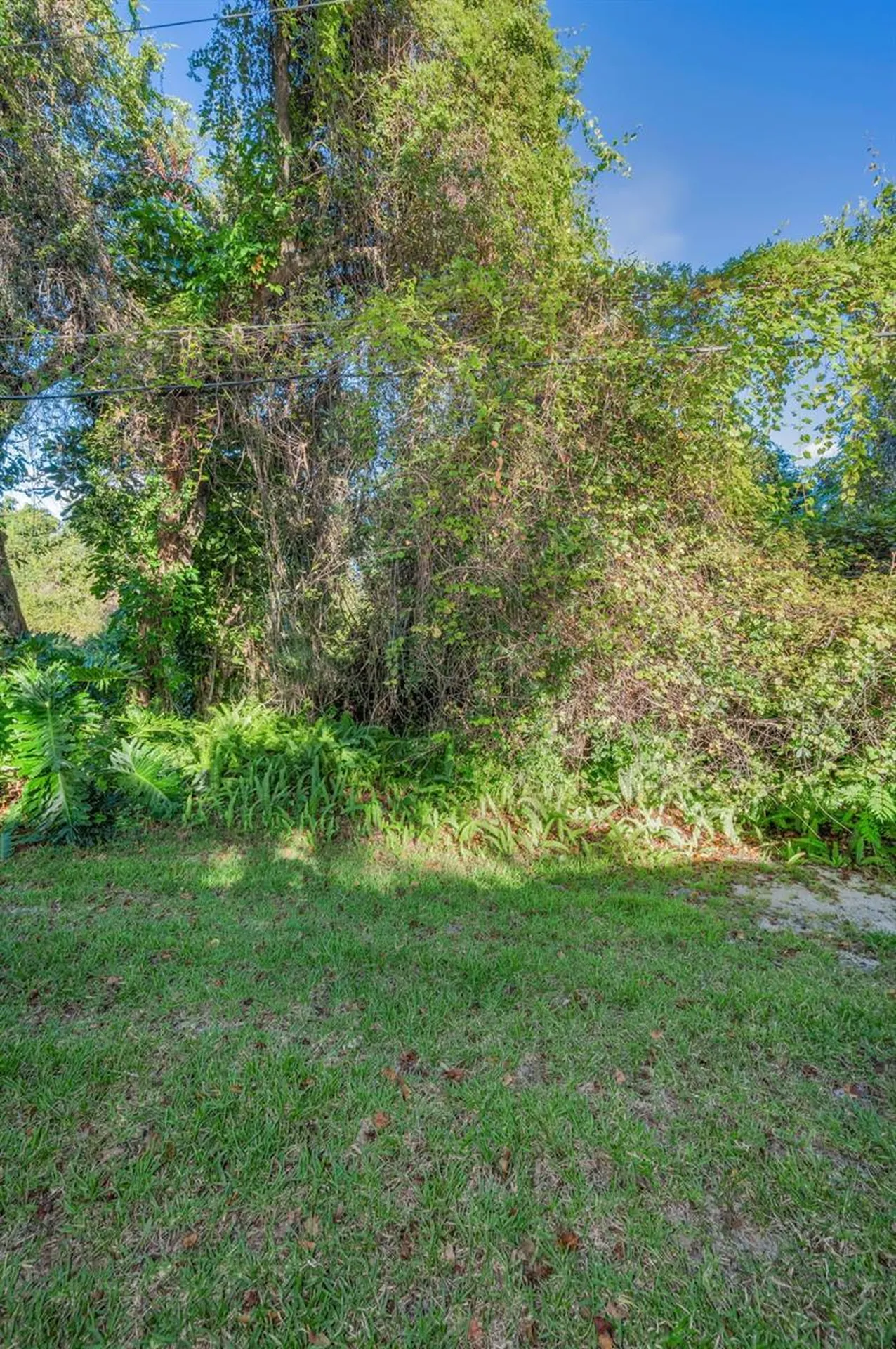 3500 Magnolia Ridge Circle Palm Harbor FL 34684