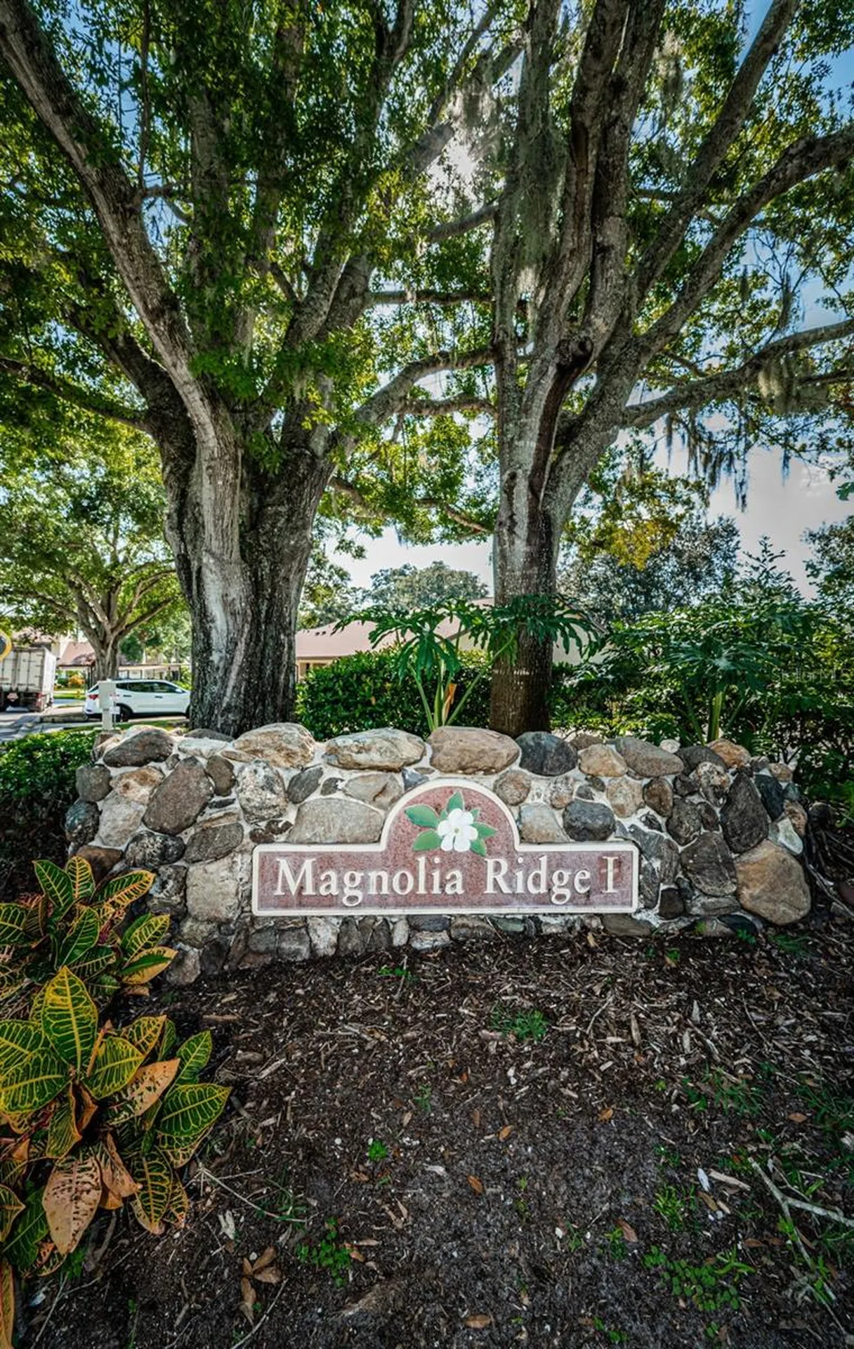 3500 Magnolia Ridge Circle Palm Harbor FL 34684