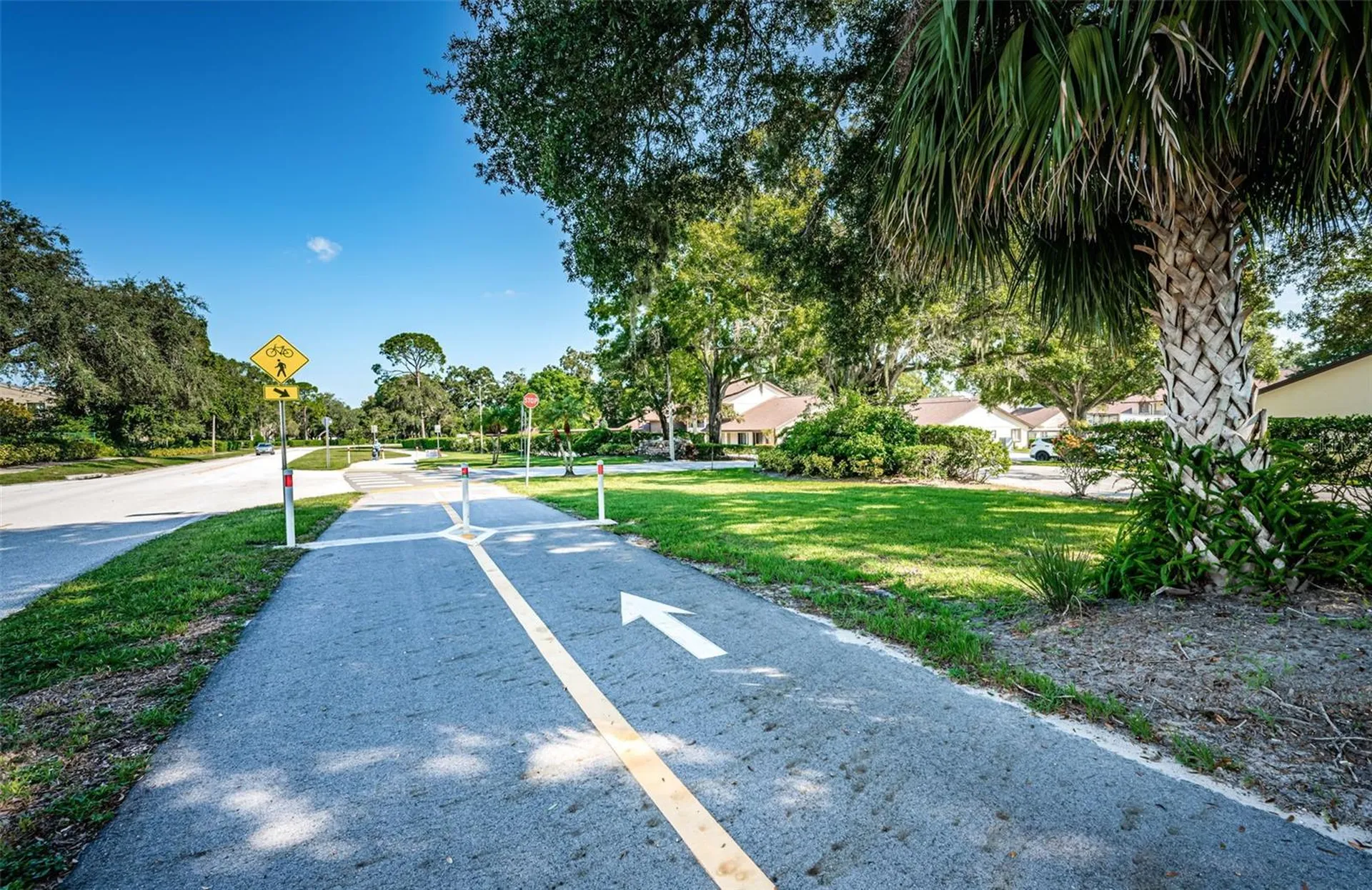 3500 Magnolia Ridge Circle Palm Harbor FL 34684