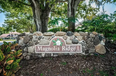 3500 Magnolia Ridge Circle Palm Harbor FL 34684