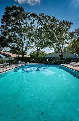 3500 Magnolia Ridge Circle Palm Harbor FL 34684