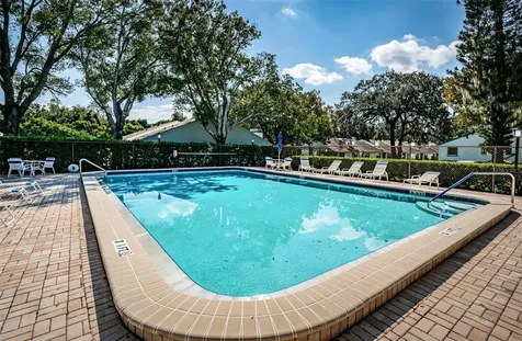 3500 Magnolia Ridge Circle Palm Harbor FL 34684