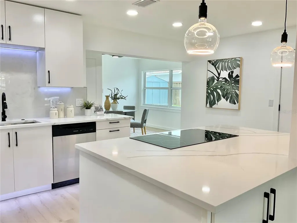1290 Michigan Boulevard Dunedin FL 34698