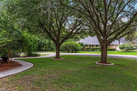 6806 NW 105th Avenue Alachua FL 32615