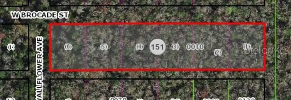 10006 W Brocade Street Homosassa FL 34448