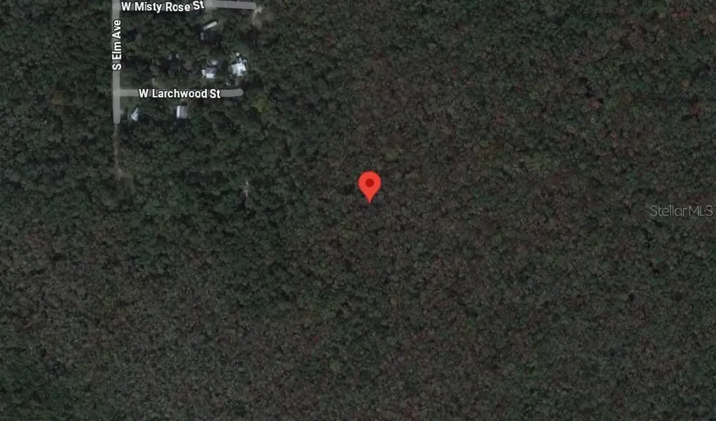 10006 W Brocade Street Homosassa FL 34448