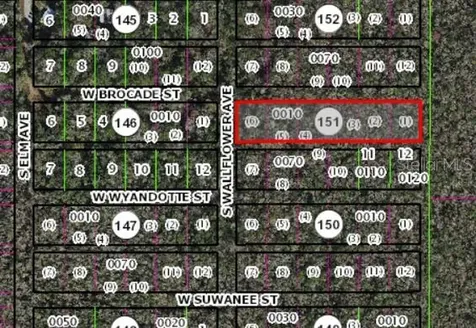 10006 W Brocade Street Homosassa FL 34448