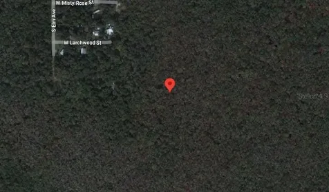 10006 W Brocade Street Homosassa FL 34448
