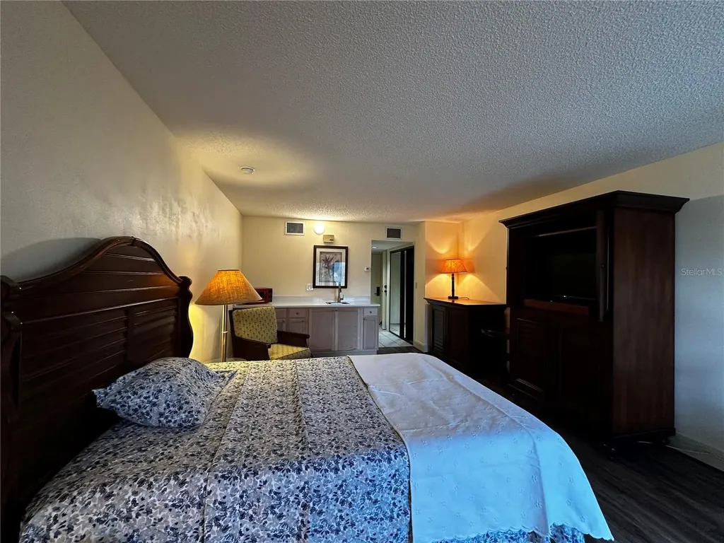 29129 Bay Hollow Drive Wesley Chapel FL 33543