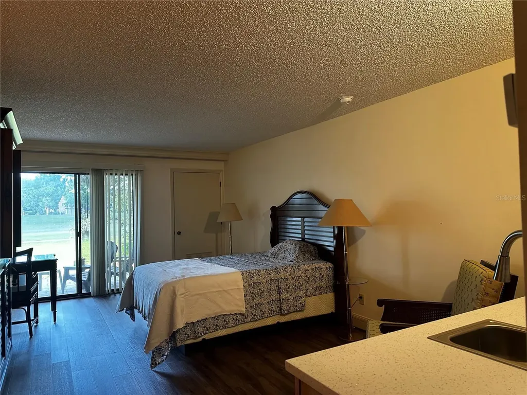 29129 Bay Hollow Drive Wesley Chapel FL 33543