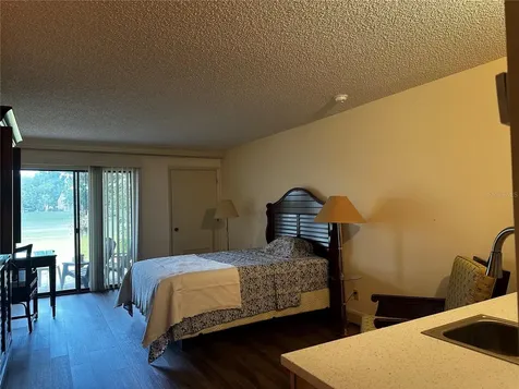 29129 Bay Hollow Drive Wesley Chapel FL 33543